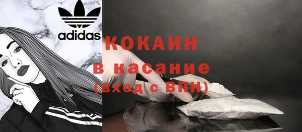 хмурый Арсеньев