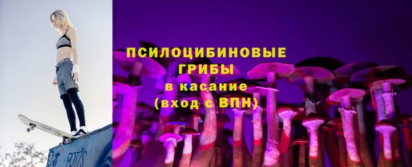 хмурый Арсеньев