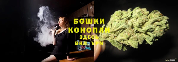 хмурый Арсеньев