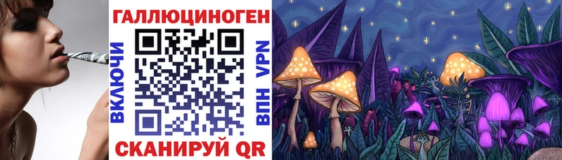 МЕГА ССЫЛКА как найти наркотики Североморск Псилоцибиновые грибы Psilocybine cubensis
