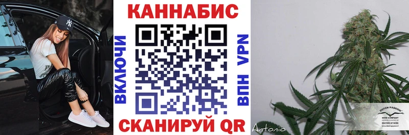 Канабис гибрид  Североморск 